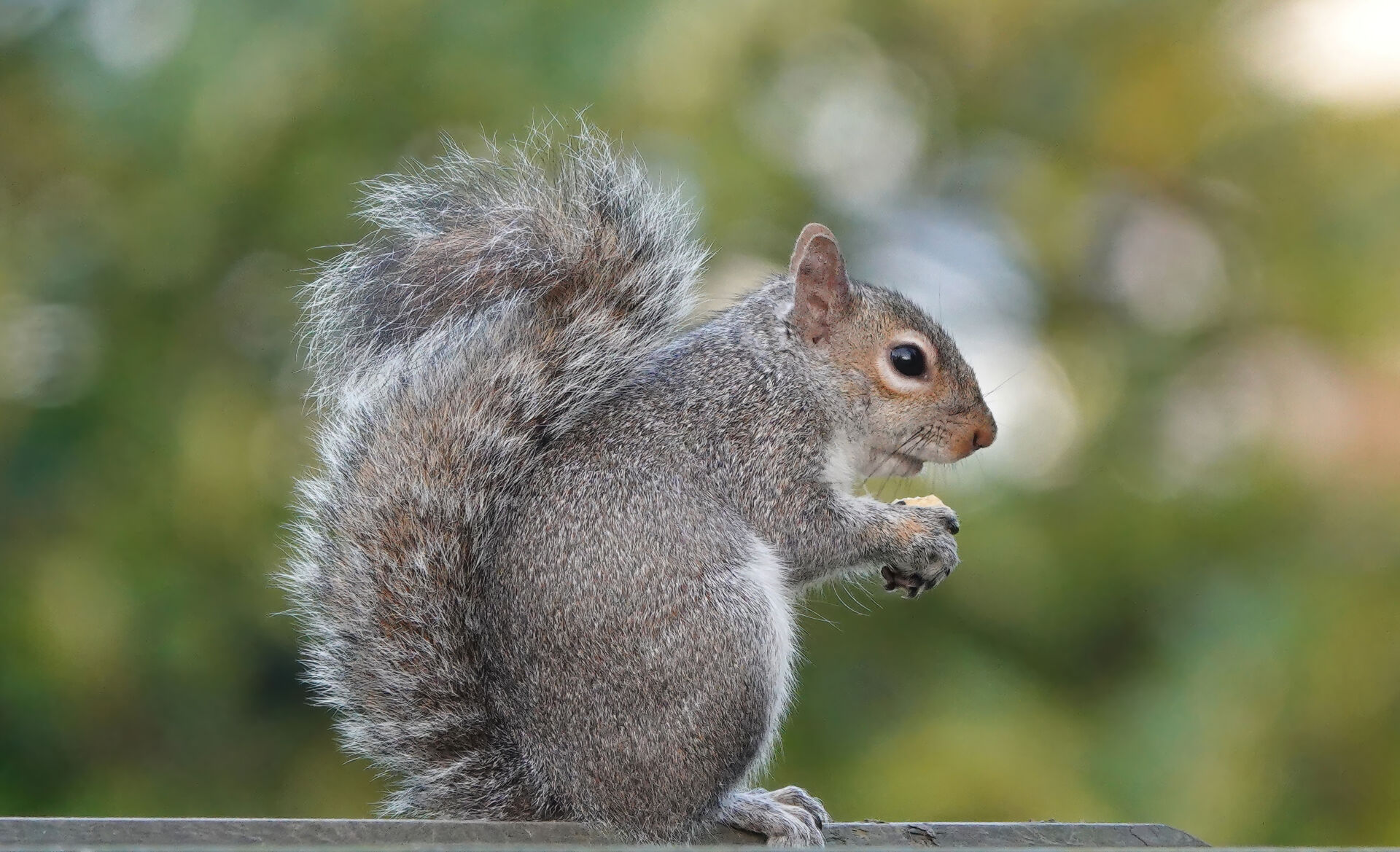 Pest control services for commercial and agricultural clients
